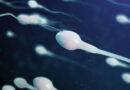 Исследование обнаружило связь между частым использованием мобильных и качеством спермы — новости медицины